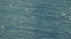 Luxury brand banner