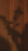 video thumbnail image setion