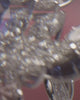 video poster image
